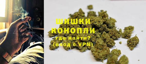 тгк Семилуки