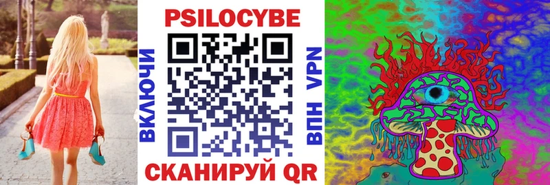 наркошоп  Стародуб  Псилоцибиновые грибы Psilocybine cubensis 