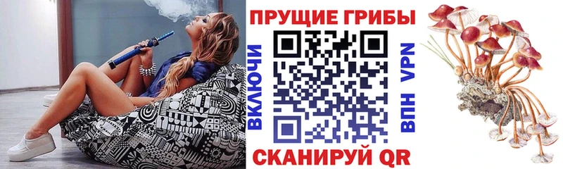 Галлюциногенные грибы мухоморы Стародуб